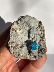 Cavansite Rare Crystal CV015