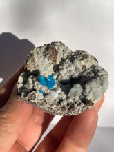 Load image into Gallery viewer, Cavansite Rare Crystal CV015
