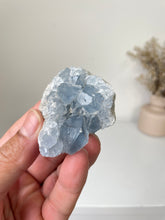 Load image into Gallery viewer, Celestite Crystal Cluster CL024
