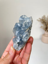 Load image into Gallery viewer, Celestite Crystal Cluster CL025
