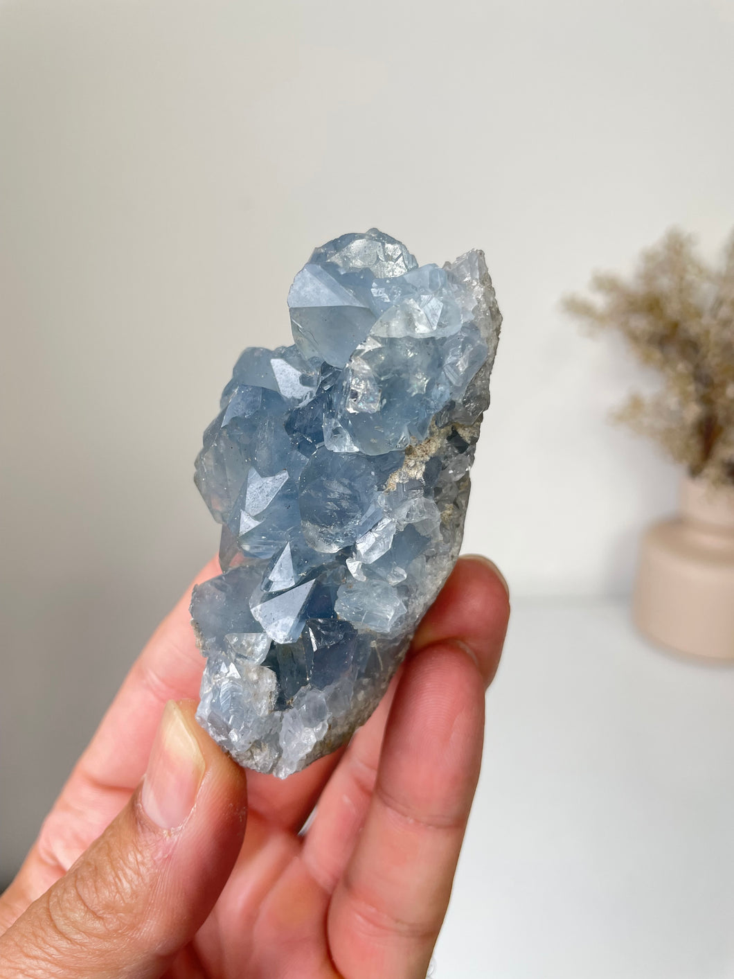 Celestite Crystal Cluster CL025