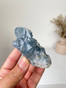 Celestite Crystal Cluster CL025