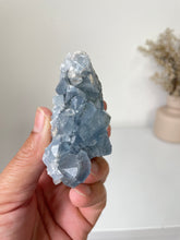 Load image into Gallery viewer, Celestite Crystal Cluster CL025
