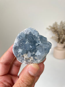 Celestite Crystal Cluster CL026