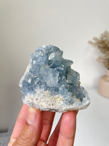 Celestite Crystal Cluster CL027