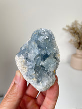 Load image into Gallery viewer, Celestite Crystal Cluster CL027
