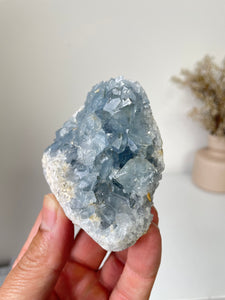 Celestite Crystal Cluster CL027