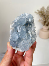 Load image into Gallery viewer, Celestite Crystal Cluster CL028
