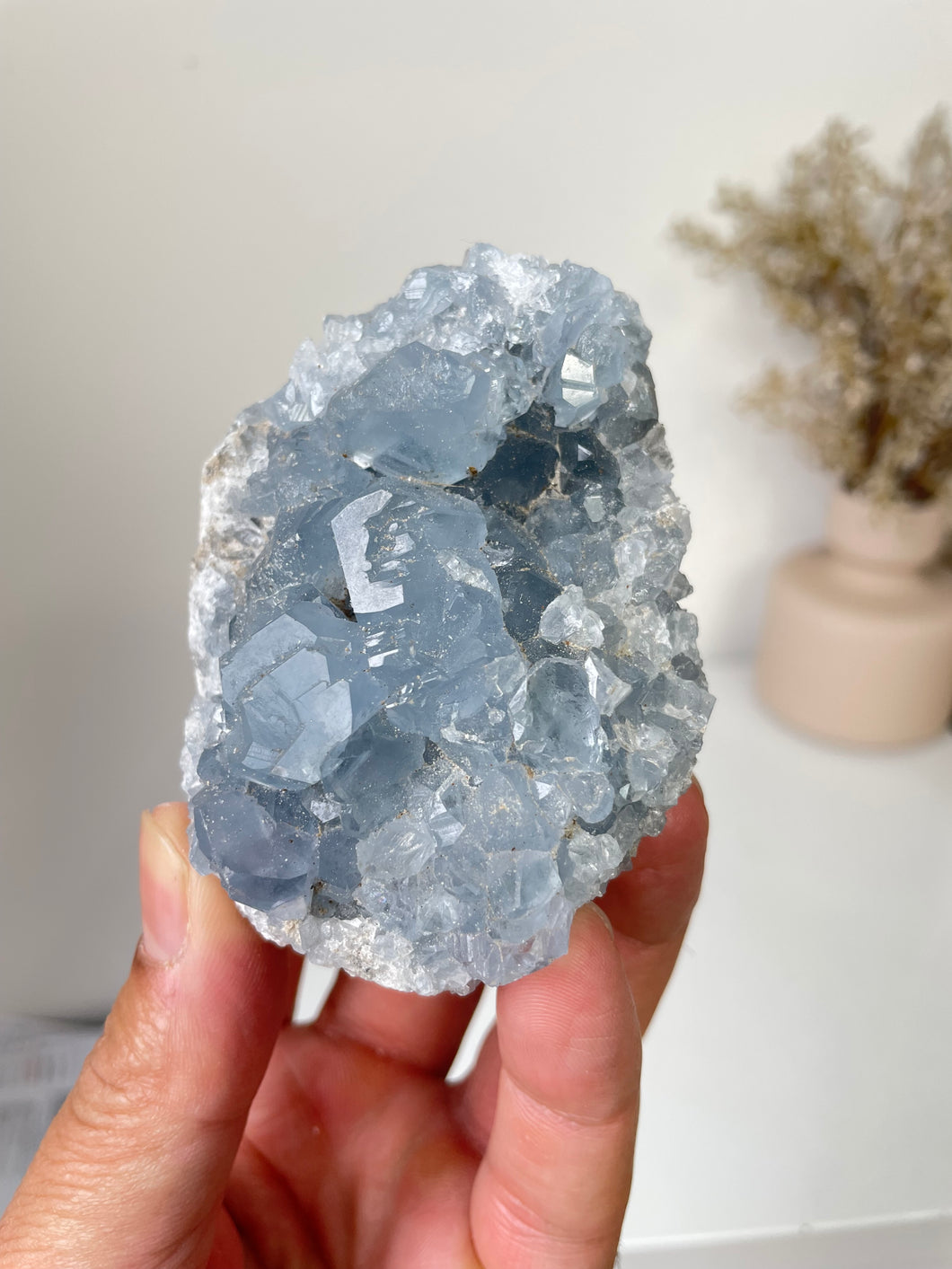 Celestite Crystal Cluster CL028