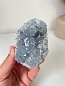 Celestite Crystal Cluster CL028