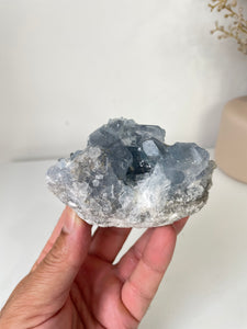 Celestite Crystal Cluster CL029