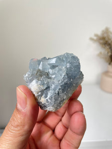 Celestite Crystal Cluster CL022