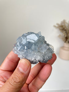 Celestite Crystal Cluster CL022