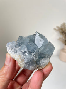 Celestite Crystal Cluster CL023