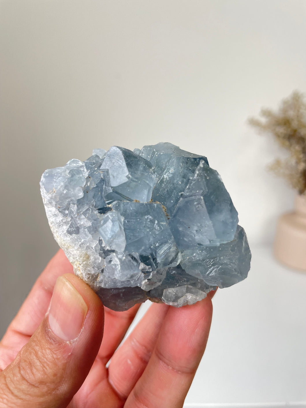 Celestite Crystal Cluster CL023