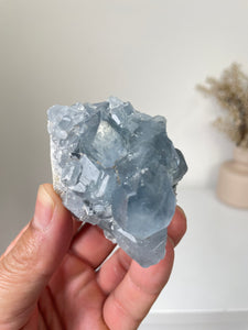 Celestite Crystal Cluster CL023