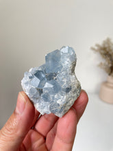 Load image into Gallery viewer, Celestite Crystal Cluster CL024
