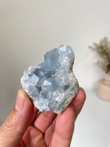 Celestite Crystal Cluster CL024