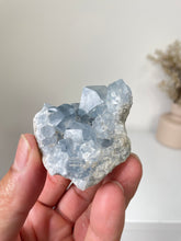 Load image into Gallery viewer, Celestite Crystal Cluster CL024
