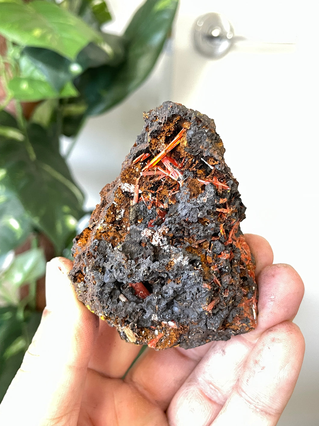 Crocoite Natural Cluster, Tasmania CR050