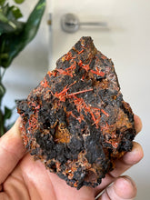 Load image into Gallery viewer, Crocoite Natural Cluster, Tasmania CR057
