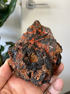 Crocoite Natural Cluster, Tasmania CR057