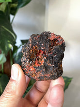 Load image into Gallery viewer, Crocoite Natural Cluster, Tasmania CR047
