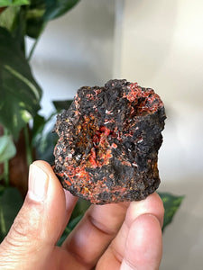 Crocoite Natural Cluster, Tasmania CR047