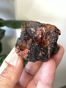 Crocoite Natural Cluster, Tasmania CR047