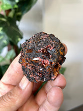 Load image into Gallery viewer, Crocoite Natural Cluster, Tasmania CR062
