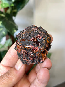 Crocoite Natural Cluster, Tasmania CR062