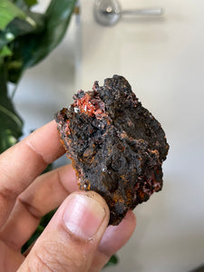 Crocoite Natural Cluster, Tasmania CR049