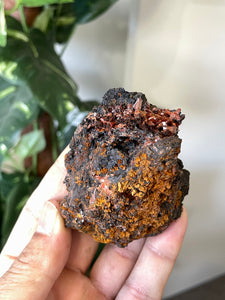 Crocoite Natural Cluster, Tasmania CR049