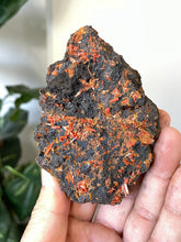 Load image into Gallery viewer, Crocoite Natural Cluster, Tasmania CR053
