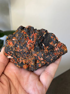 Crocoite Natural Cluster, Tasmania CR053