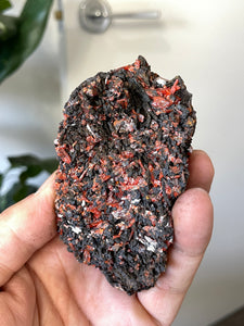 Crocoite Natural Cluster, Tasmania CR055