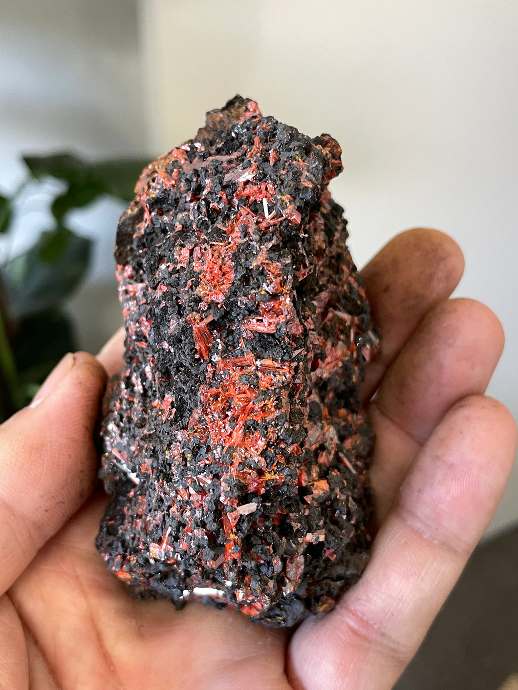 Crocoite Natural Cluster, Tasmania CR055