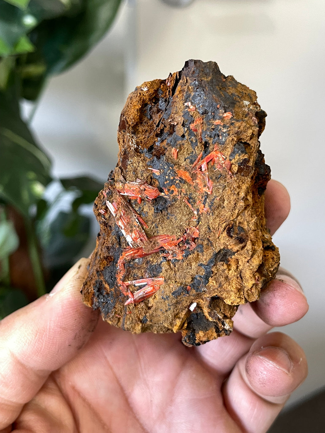 Crocoite Natural Cluster, Tasmania CR051