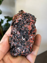 Load image into Gallery viewer, Crocoite Natural Cluster, Tasmania CR055
