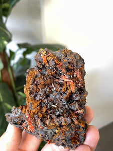 Crocoite Natural Cluster, Tasmania CR052