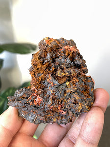 Crocoite Natural Cluster, Tasmania CR052