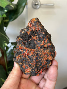 Crocoite Natural Cluster, Tasmania CR053