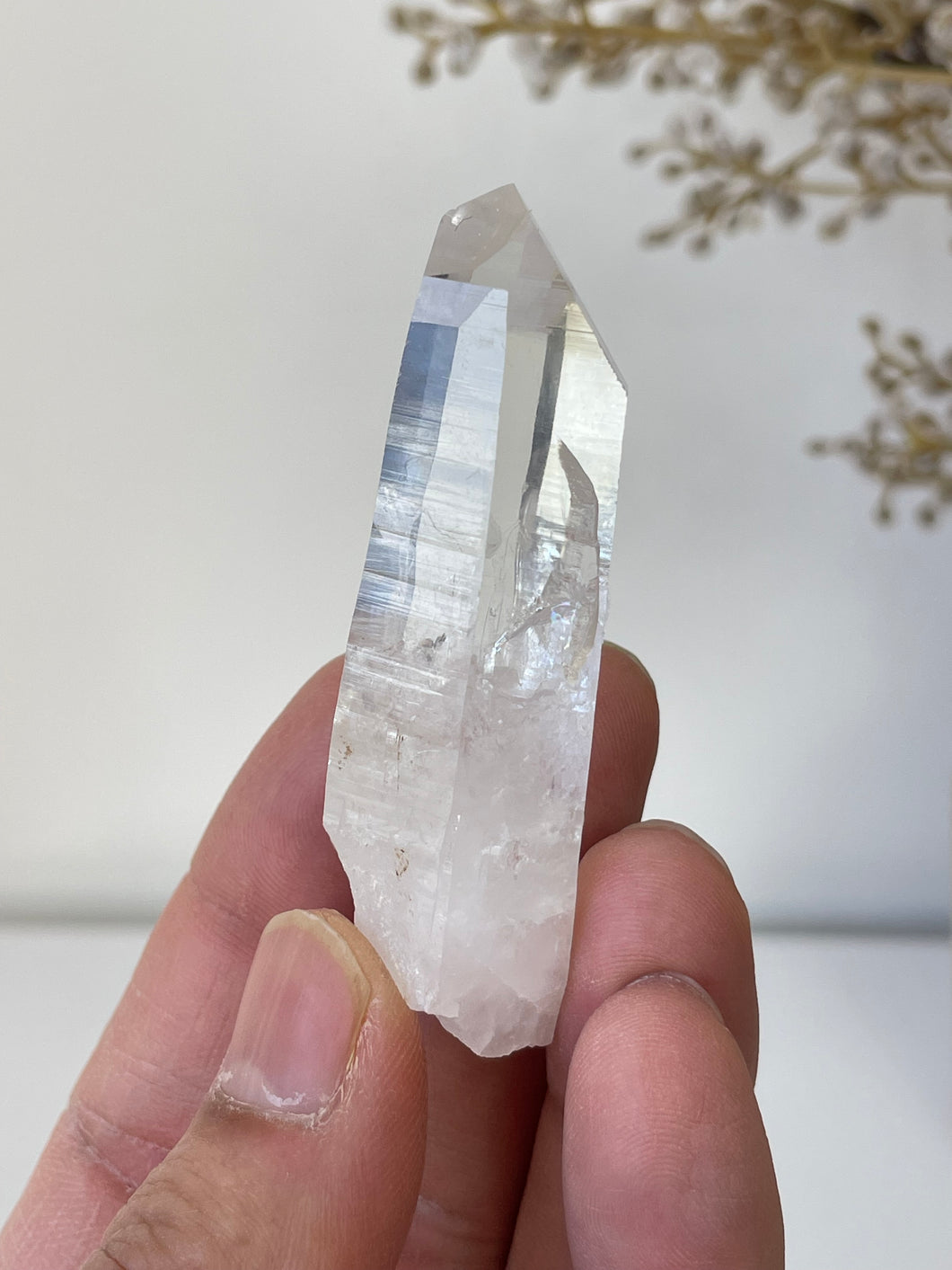 Columbian Lemurian Quartz Water Clear Crystal Q292a