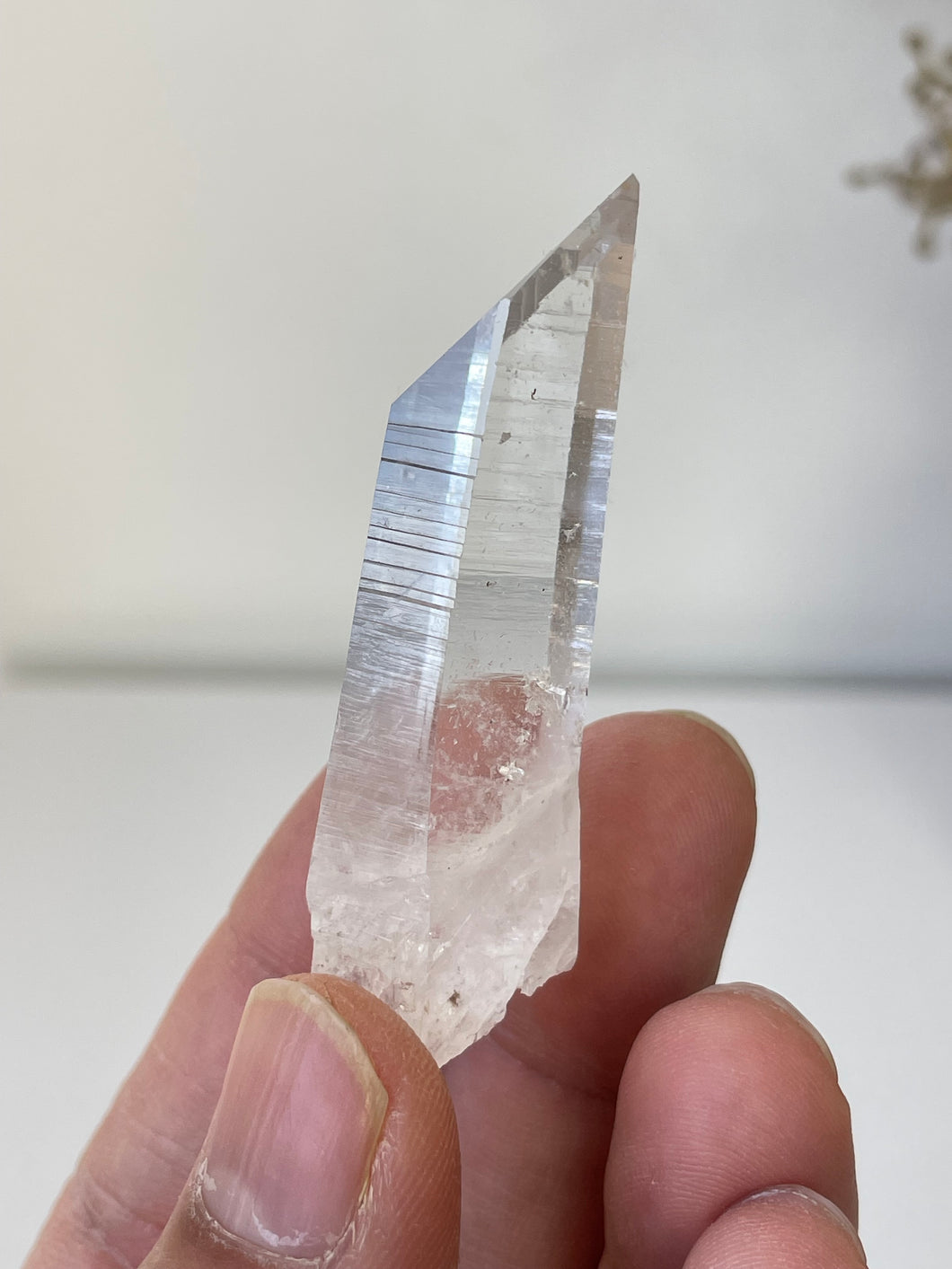 Columbian Lemurian Quartz Water Clear Crystal Q294a