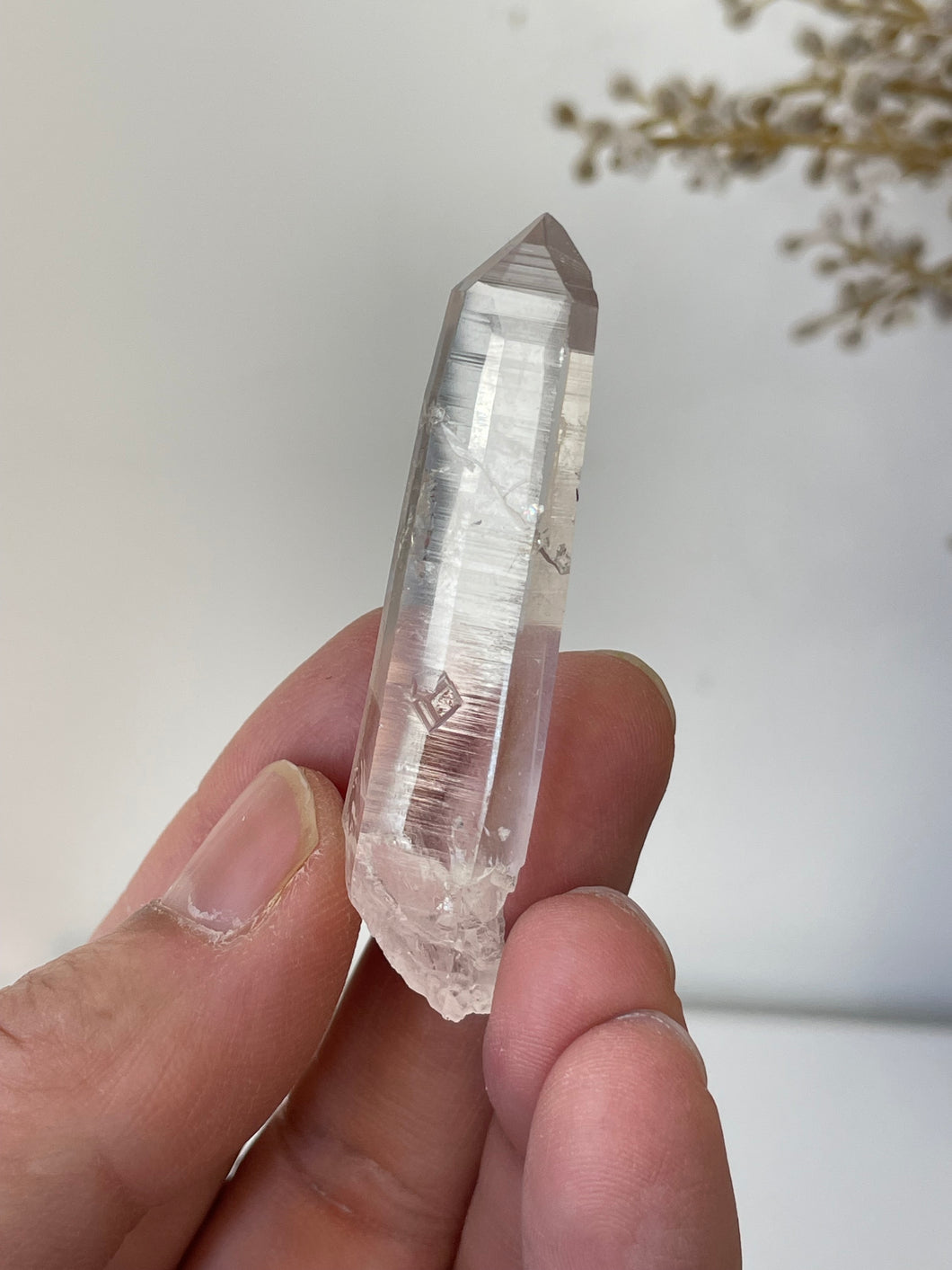 Columbian Lemurian Quartz Water Clear Crystal Q297a