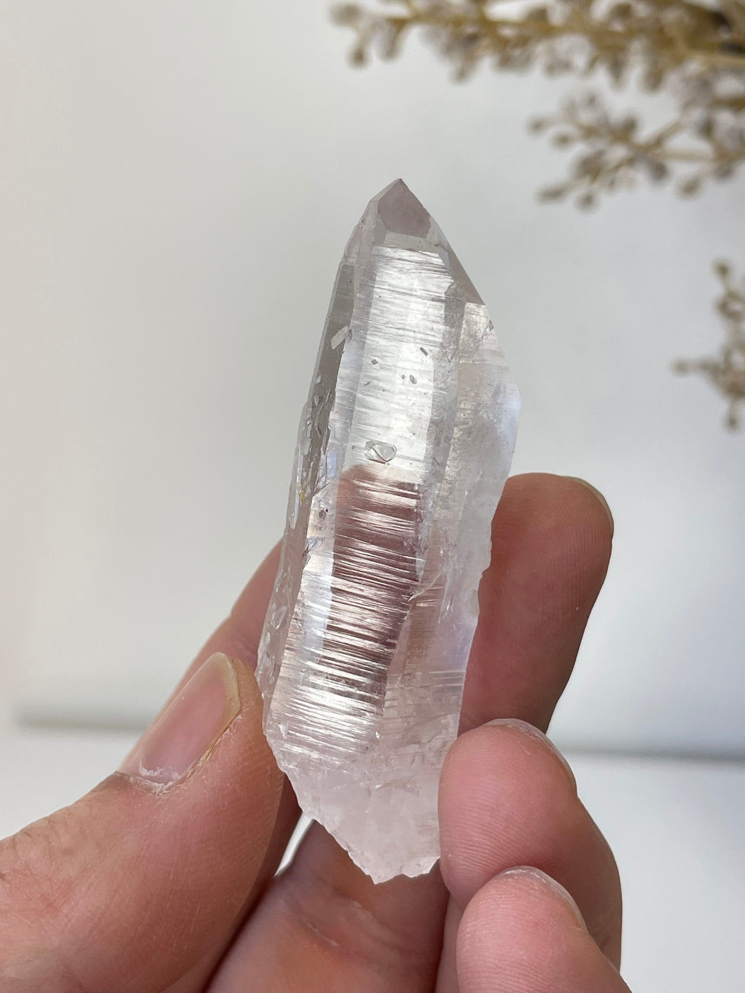 Columbian Lemurian Quartz Water Clear Crystal Q299a