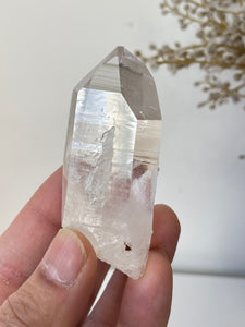 Columbian Lemurian Quartz Water Clear Crystal Q300a