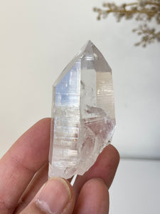 Columbian Lemurian Quartz Water Clear Crystal Q300a