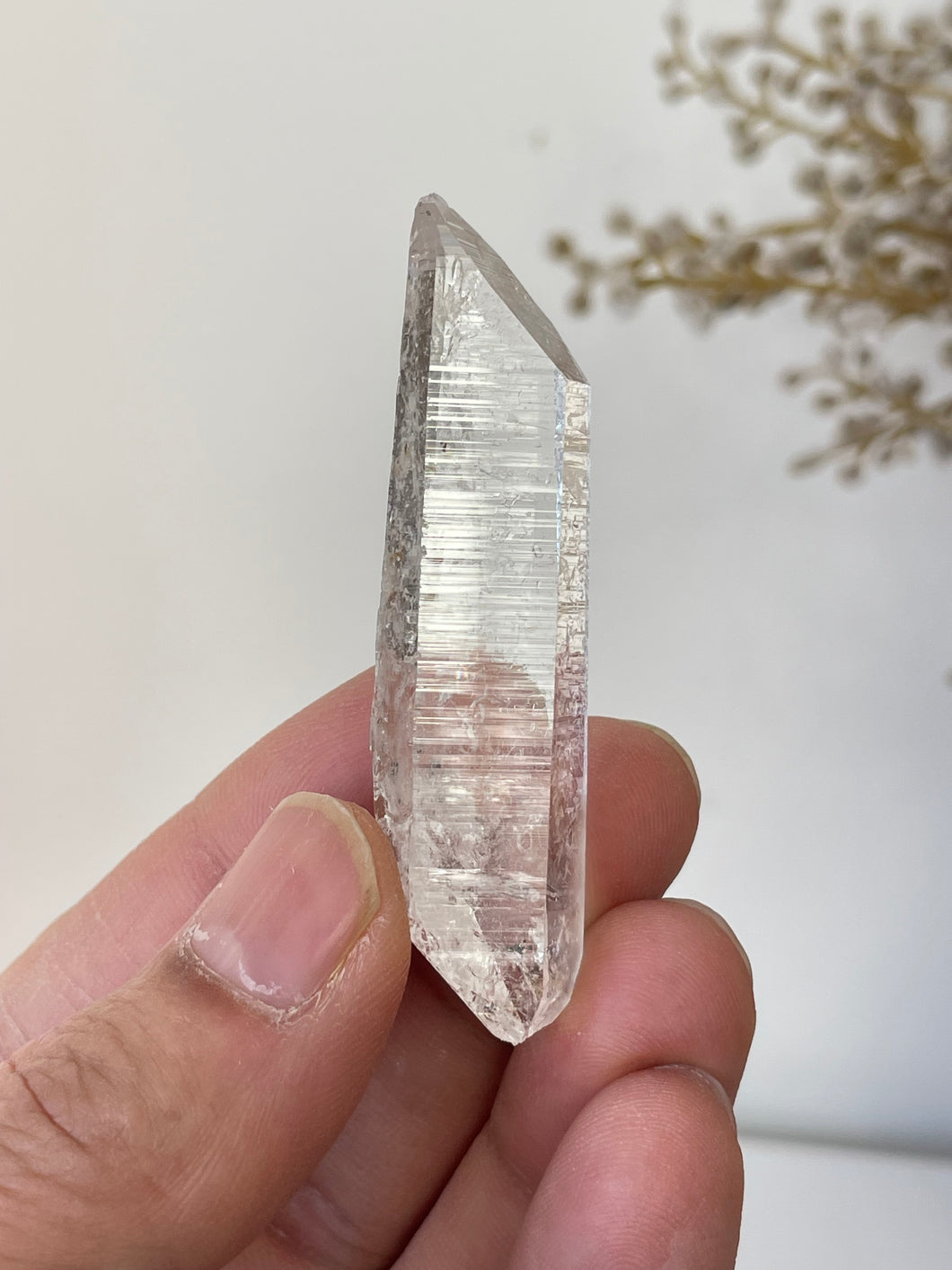 Columbian Lemurian Quartz Water Clear Crystal Q301a