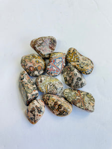 Leopard Skin Jasper Tumbled Stone TB084 x 1